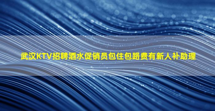武汉KTV招聘酒水促销员包住包路费有新人补助理